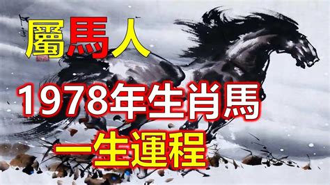 1978屬馬幸運色|屬馬人必看：1978命格